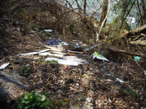 Odpadke ob Savi na Posavcu so občina in ribiči že večkrat odstranili, vendar jih neznani nevestneži kljub temu spet odložijo.